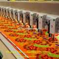 Computerized Towel/Chain stitch/Chenille Embroidery Machinery mixed with TCD